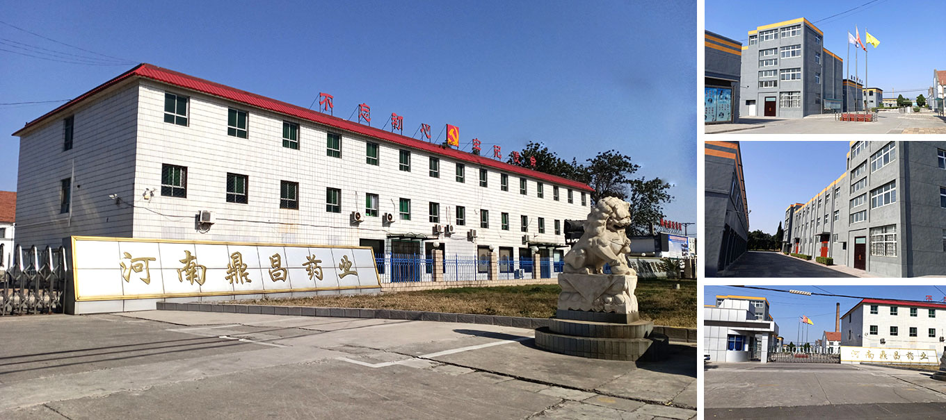 公司簡(jiǎn)介